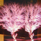 Illustration for article titled Use that built-up static electricity to create a shocking work of art